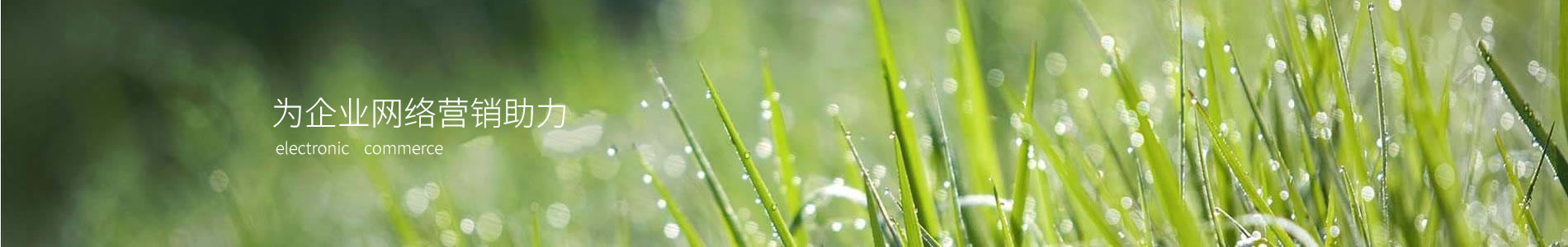 ڴƼ޹˾